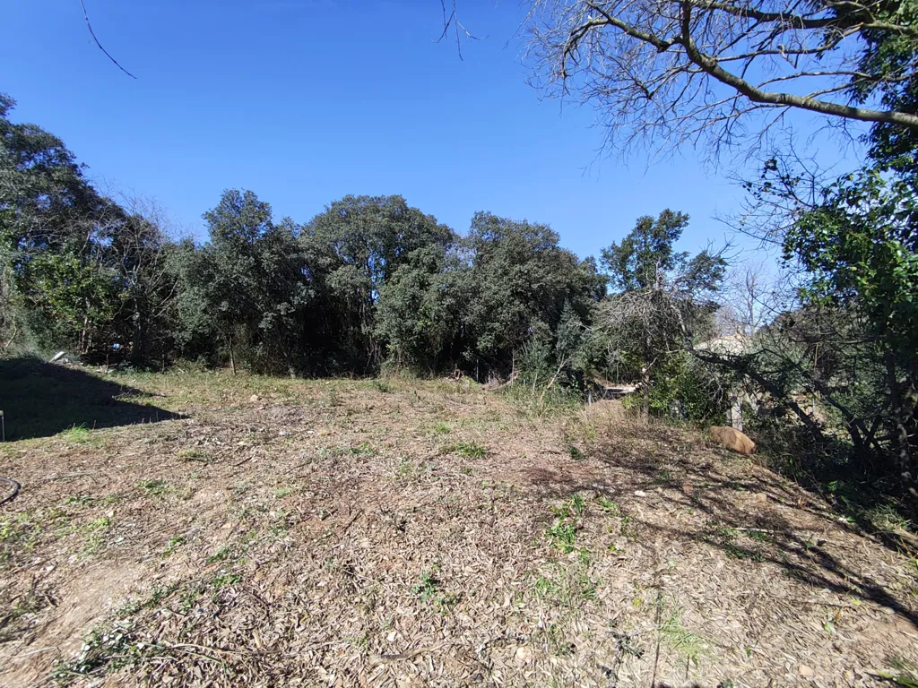 Jardin - Terrain à Bâtir avec Forte Constructibilité à Canet