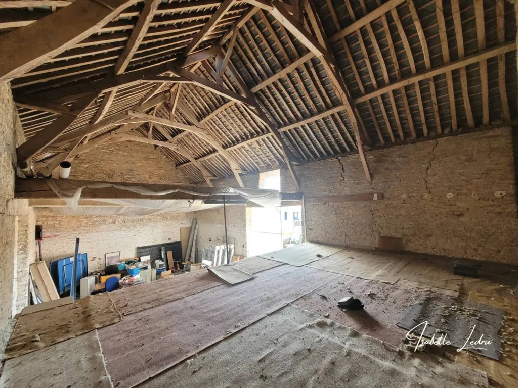 Toad - Renaissance Property with Two Buildings in Châteaubriant