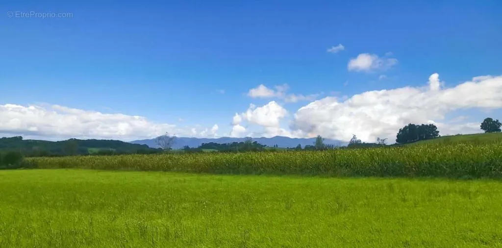 Jardin - Terrain Constructible avec Vue Campagne à Labastide-Villefranche
