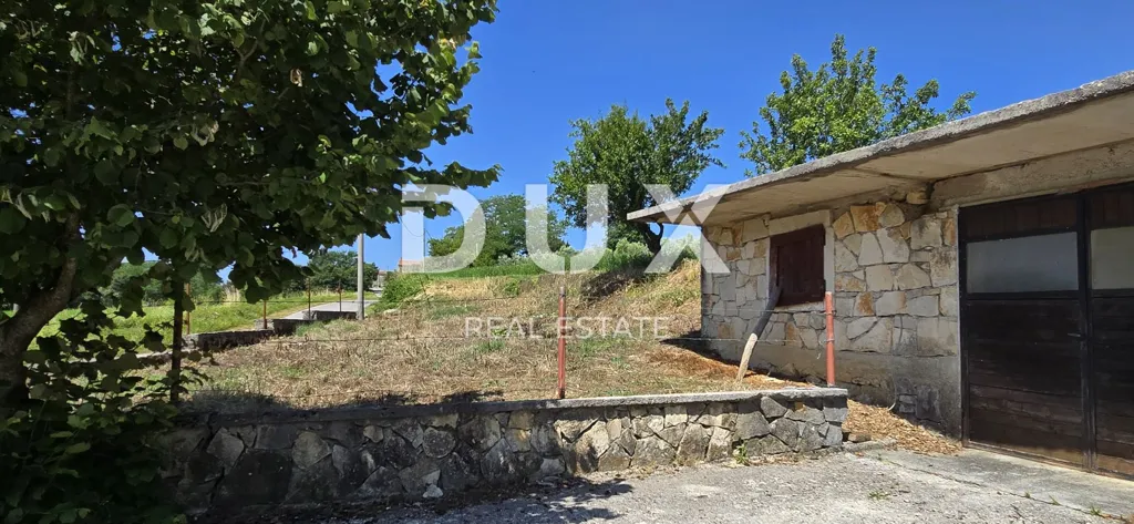 Exterior - Building Land with Olive Trees in Pazin, Istra