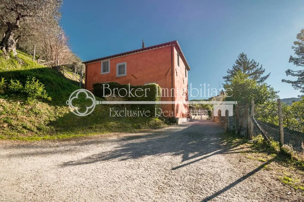 Exterior - Rustic Villa with Olive Grove in Massarosa