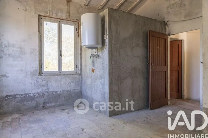 Stanze - Traditional Rustico with Olive Trees in Appignano