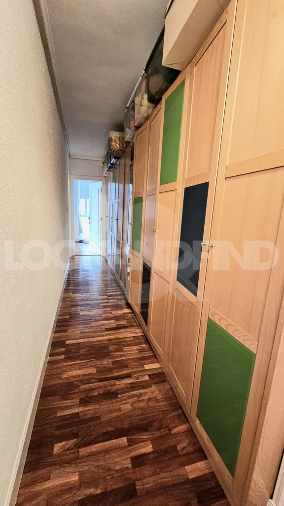Entrée - Reformed Flat with Balcony in Barakaldo