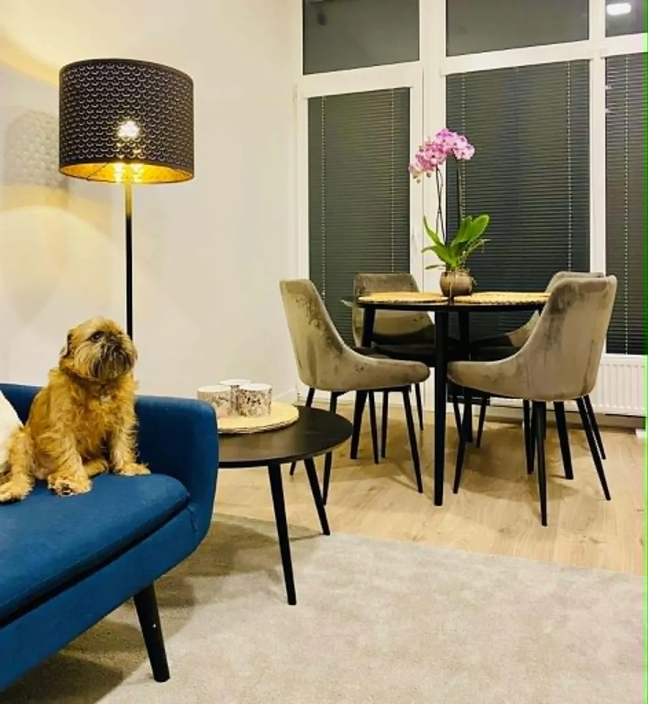 Séjour - Renovated 2-Bedroom Flat in Vilnius