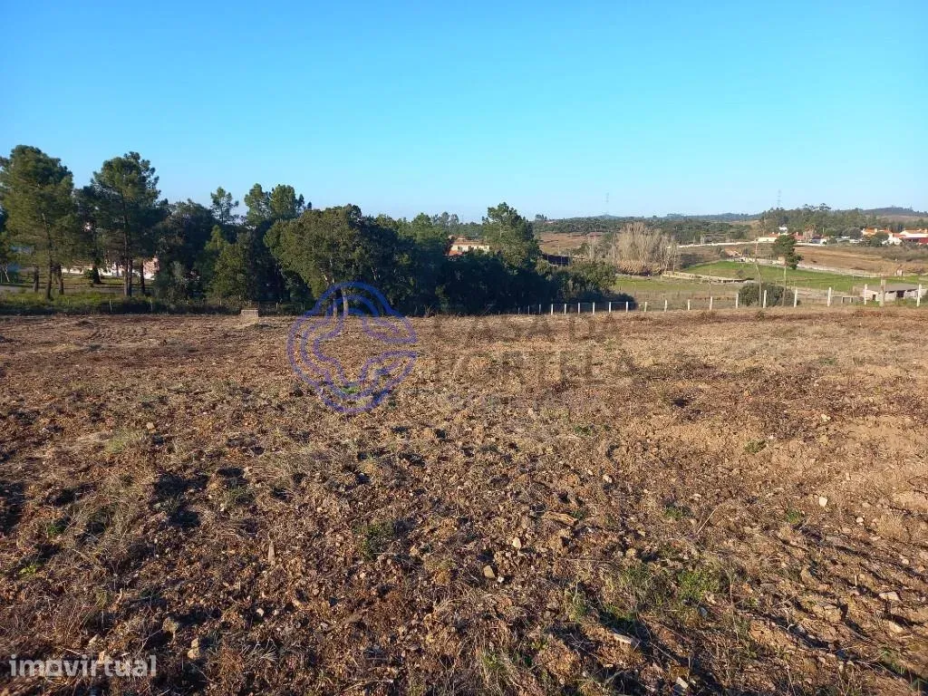 Jardin - Construction Plot for 4 Homes near Tomar