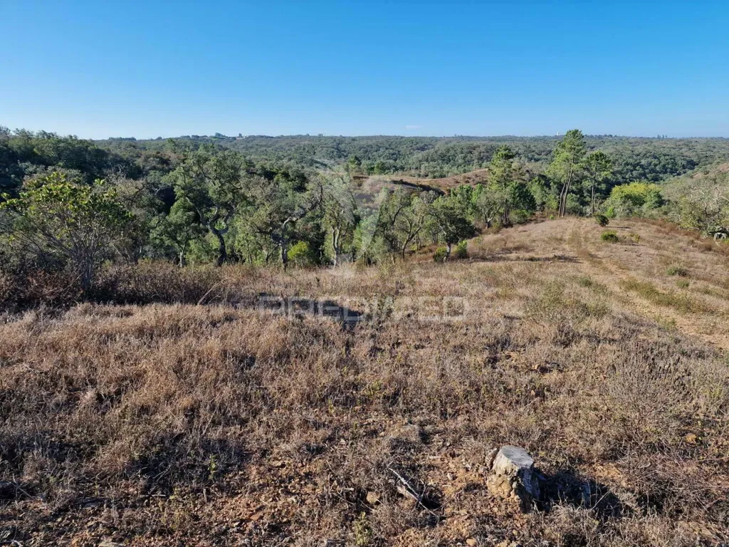 Jardin - Ruin with Construction Potential in São Francisco da Serra