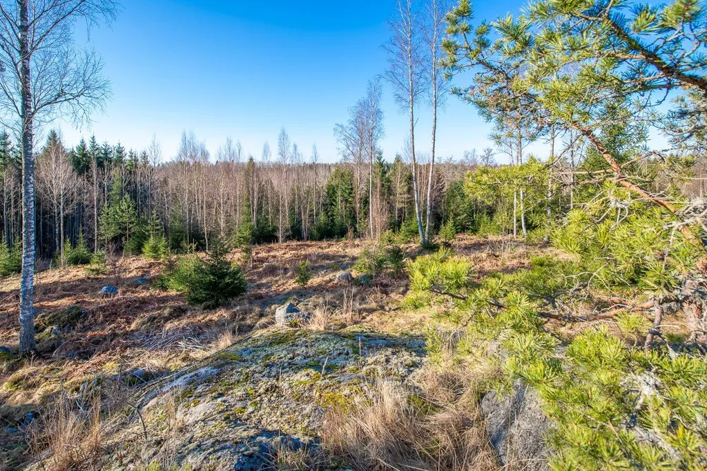 Garten - Forest Plot with Lakeside Access in Raasepori