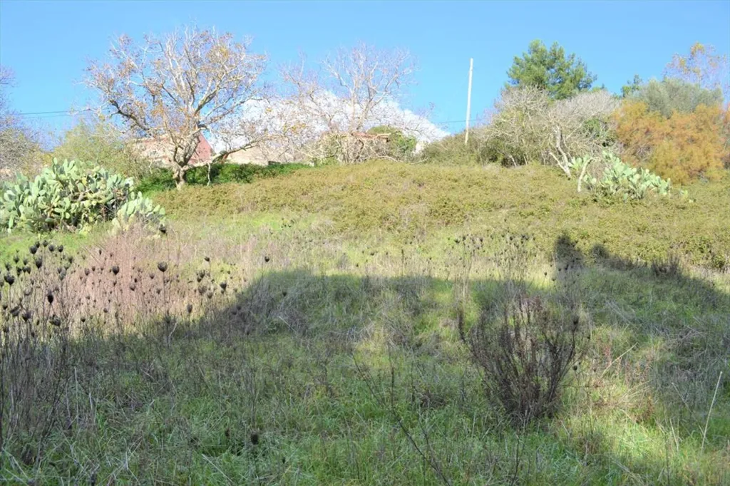 Jardin - Maisonette with Land in Allimatades, Corfu