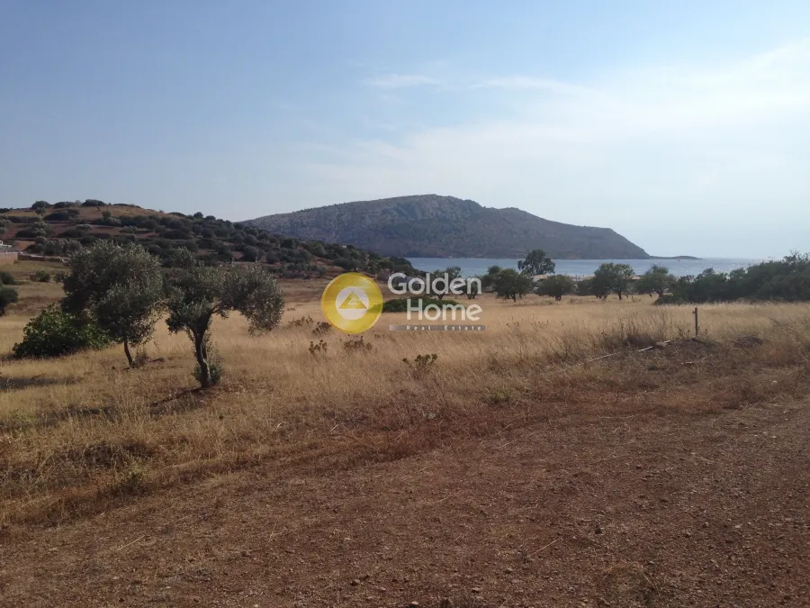 Jardin - Agricultural Plot with Sea View in Eastern Attica