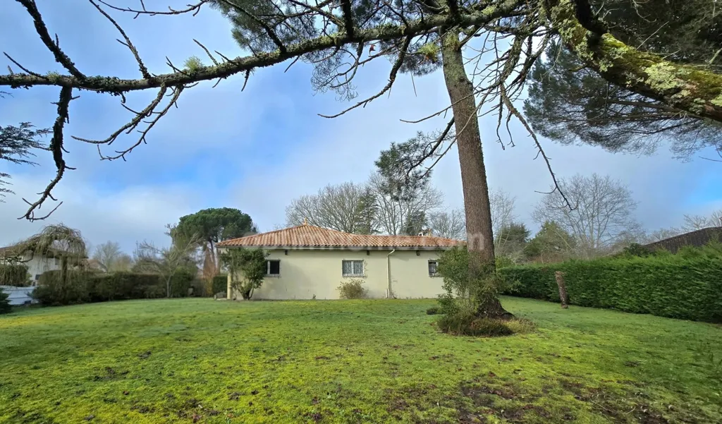 Giardino - Spacious House with Garden in Cestas