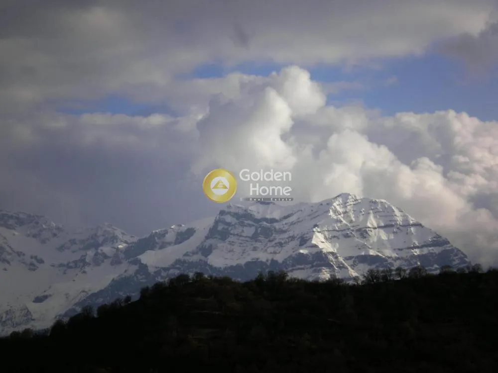 Traditional Hotel with Mountain View in Kalarrites