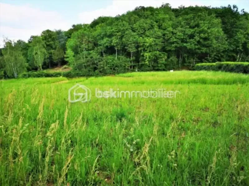 Aed - Constructible Plot with Forest View near Épernon