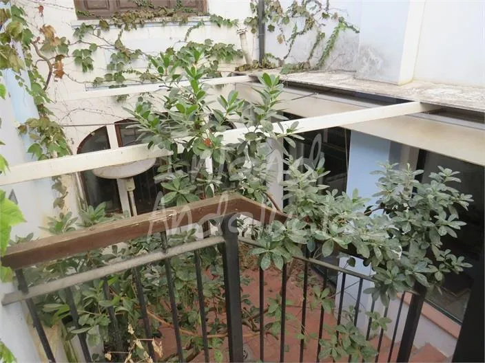 Jardin - Reformed Town House with Terrace in Alcaudete