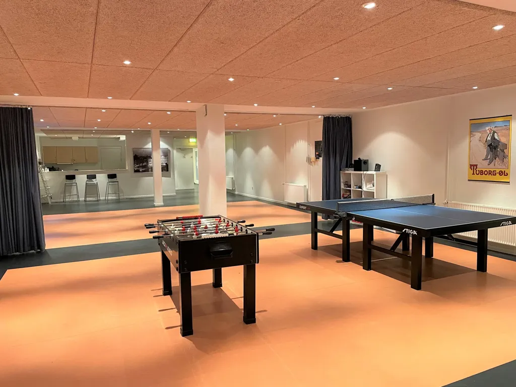 Toad - 2-Bedroom Flat near Aalborg Centre