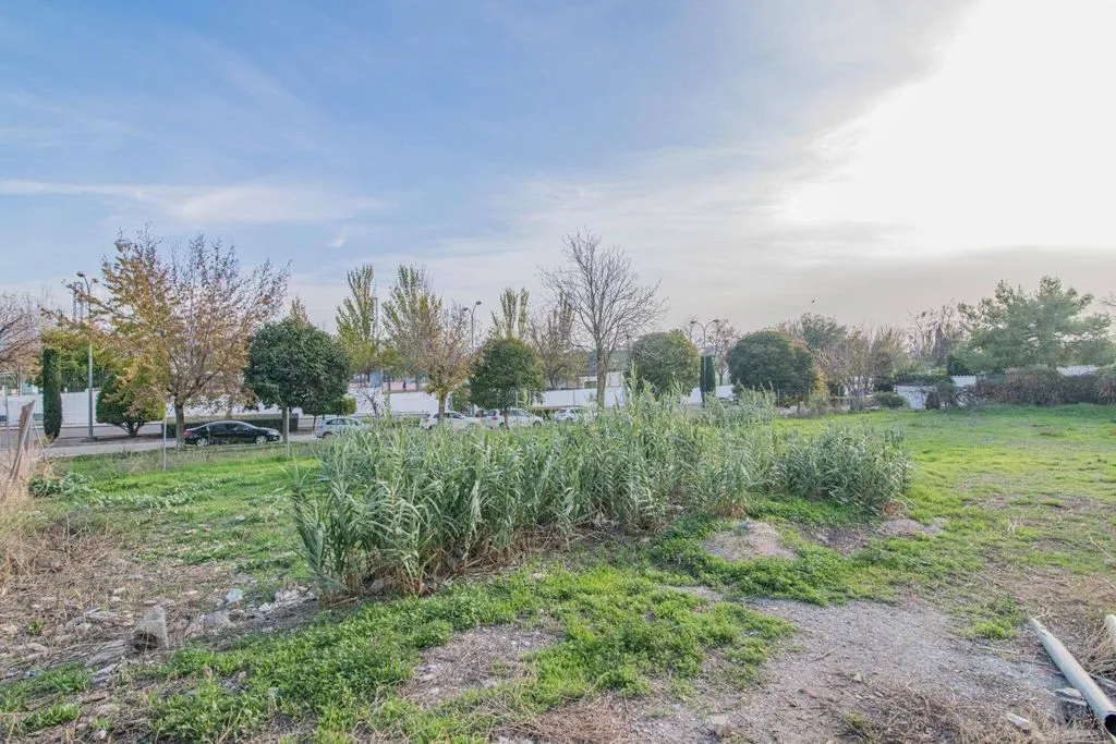 Giardino - Development Land in Peligros Centre