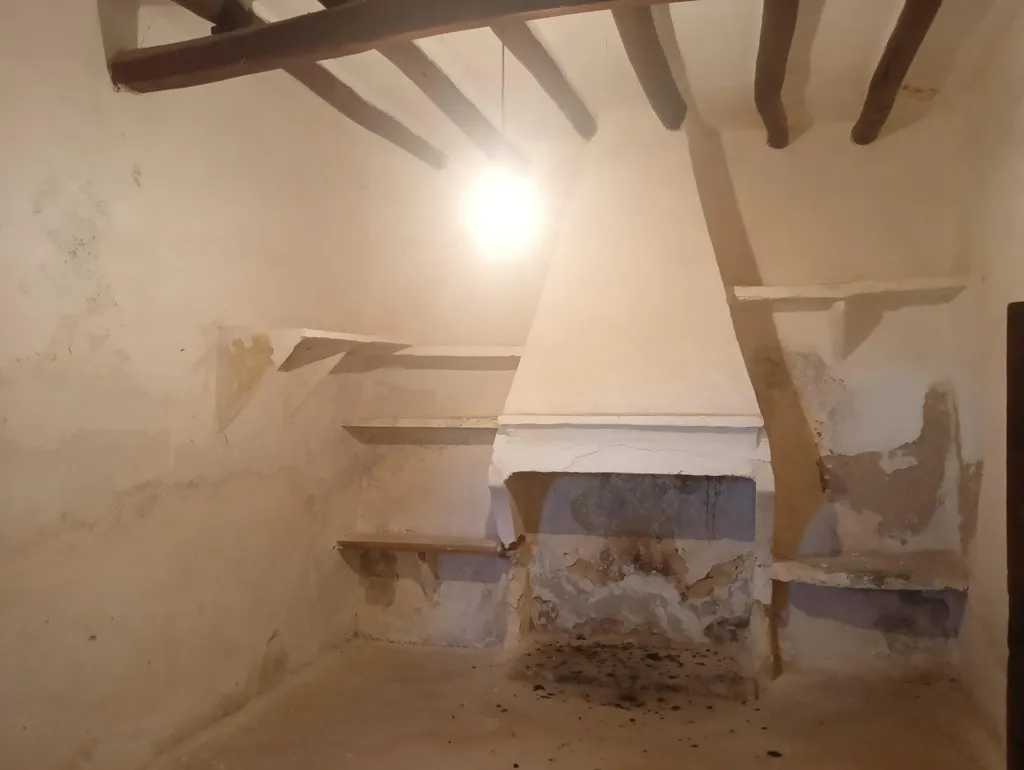 Toad - Luxury Farmhouse with Well in Manacor