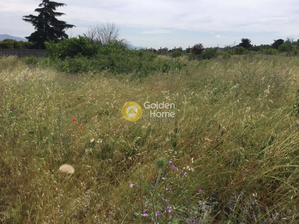 Giardino - Agricultural Plot with Unobstructed View in Thermiakos