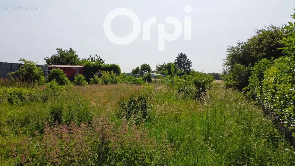 Aed - Buildable Land with View in Bailleul Le Soc
