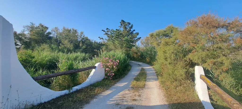 Välivaade - Charming Waterfront Property with Pool in Saintes Maries de la Mer