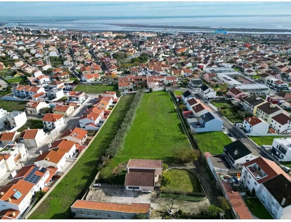 Vue aérienne - Building Land with Olive Trees near Lisbon