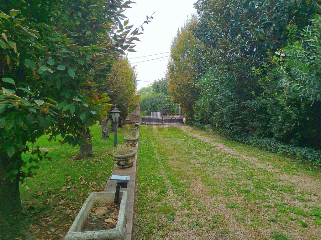 Aed - Bifamily Villa with Garden in Medolla