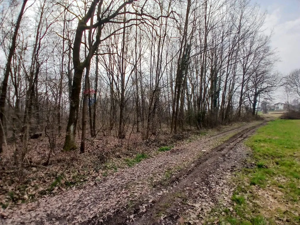 Jardín - Agricultural Land with Forest in Benna/Candelo