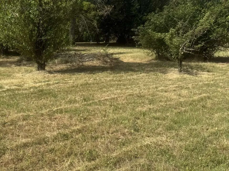 Aed - Plat Viabilised Plot with Olive View in Le Val