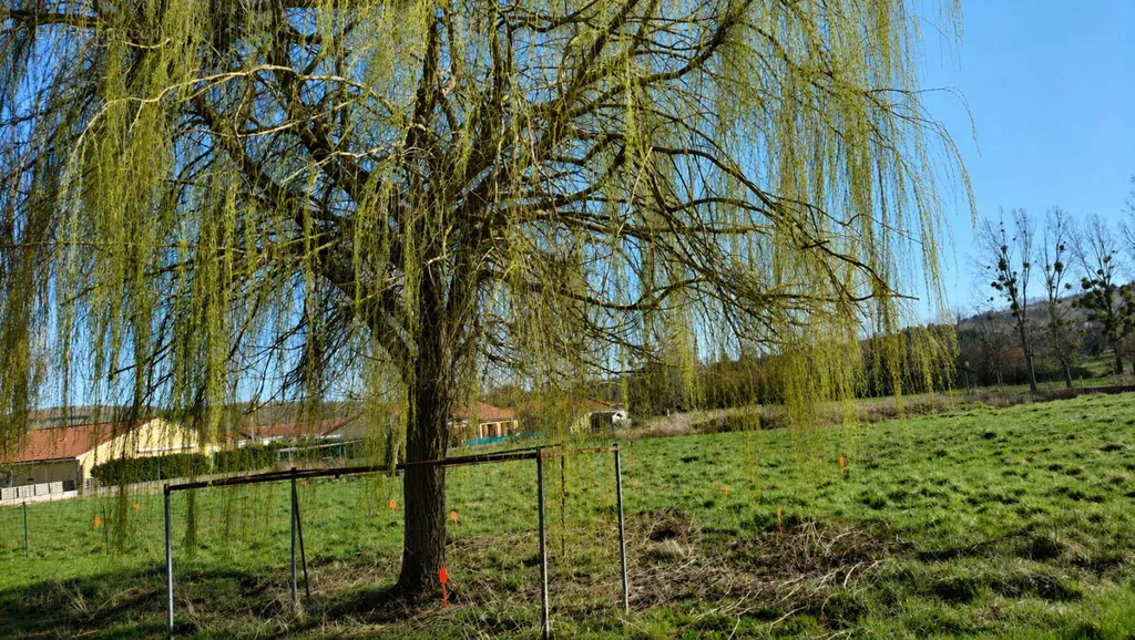 Aed - Constructible Plot with Garden in Combronde