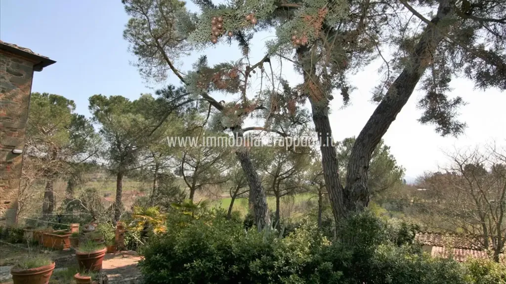 Garden - Rustic House with Vineyard in Sinalunga