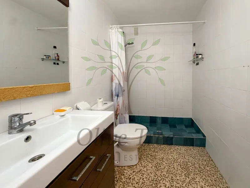 Vannitoad - Spacious Apartment with Sea Views in Santa Eulalia