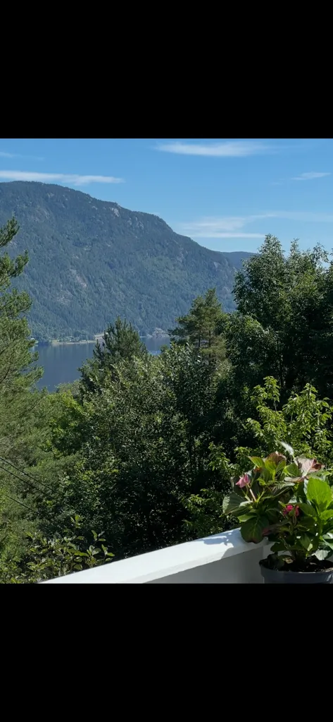 Balcone - Charming Detached House with Garden in Seljord