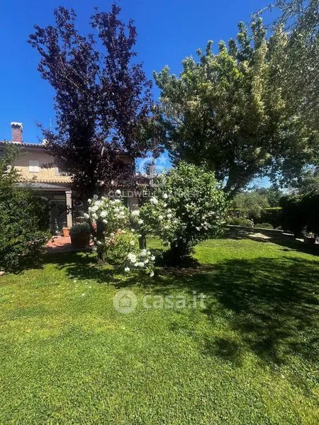 Aed - Villa with Infinity Pool in Viterbo