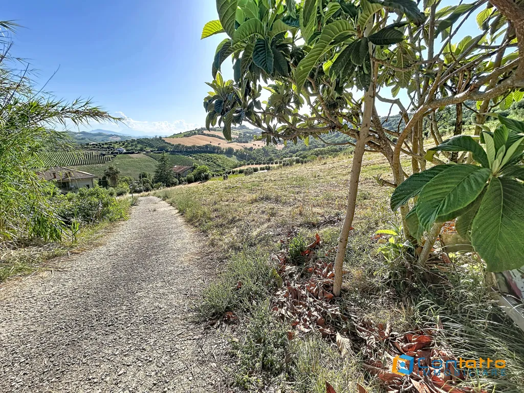 Giardino - Villetta a schiera da ristrutturare con giardino a Massignano
