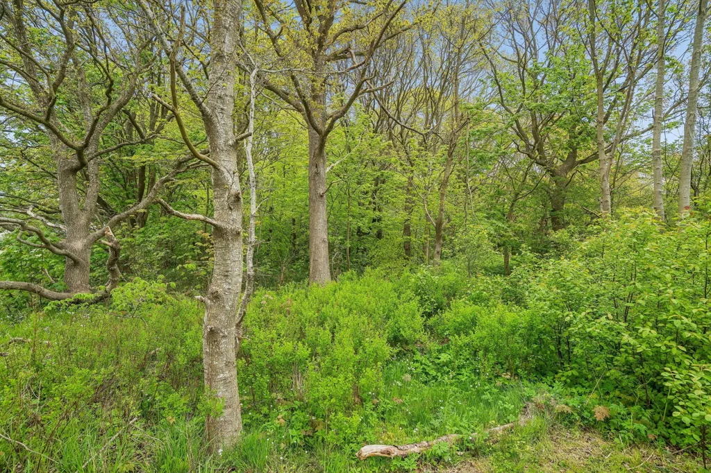 2-room house in Asaa