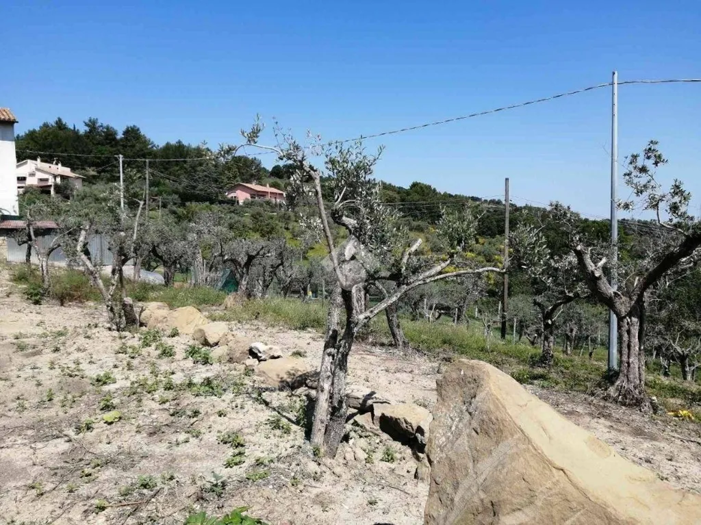 Aed - Restoration Farmhouse with Panoramic View in Cannara
