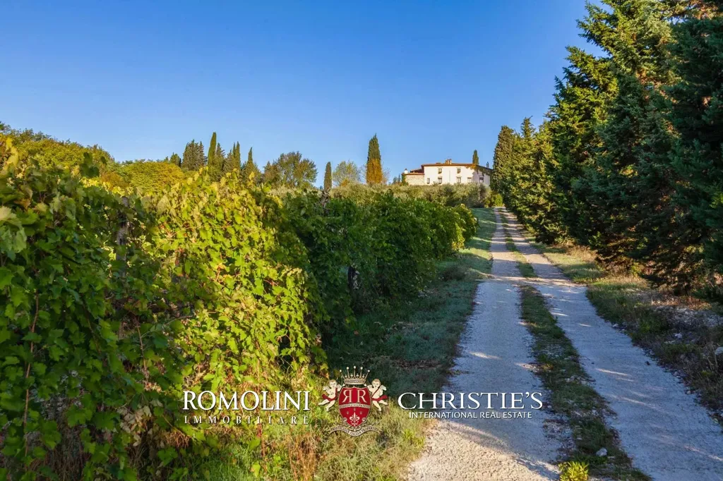 Garden - Villa with Vineyard and Pool near Florence