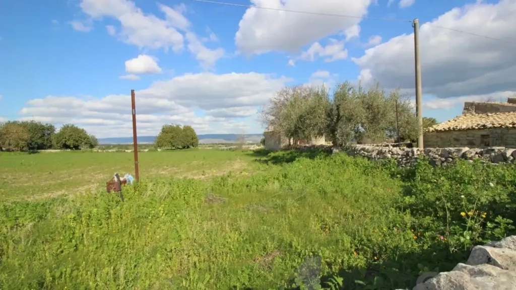 Aed - Rustic Farmhouse with Olive Grove near Rosolini