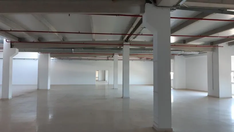 Industrial Warehouse in Vigo's PTL