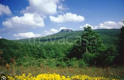 Two-Level Apartment with Garden in Carpegna