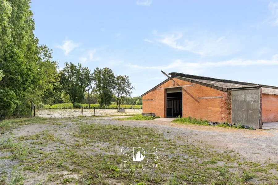 Garden - Farmhouse with Equestrian Facilities in Weelde