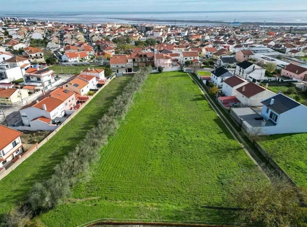 Vue aérienne - Building Land with Olive Trees near Lisbon