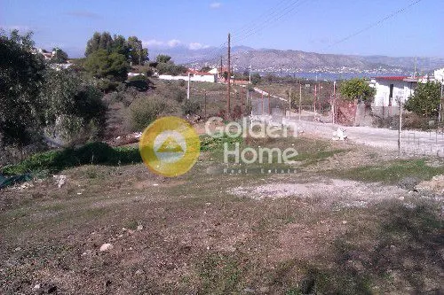 Jardin - Detached House with Garden in Ampelakia Centre