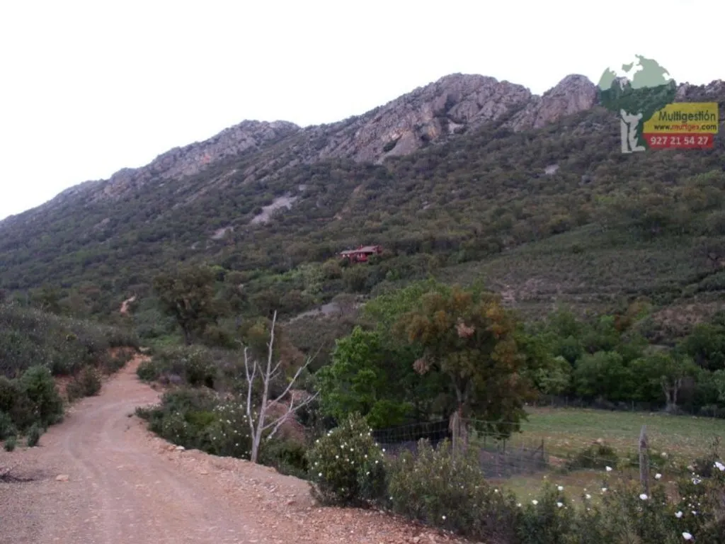 Aed - Luxury Villa with Forest Access in Guadalupe