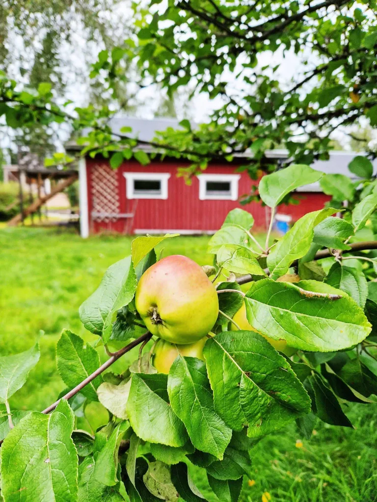Jardin - Maison 3 pièces à Sundsvalls kommun