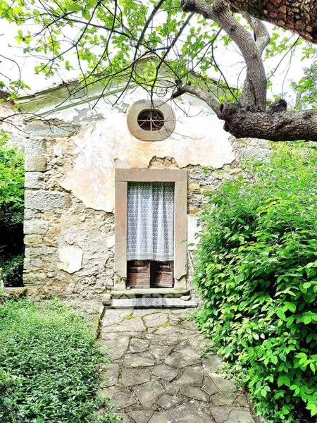 Extérieur - Rustic Farmhouse with Olive Grove in Pontassieve