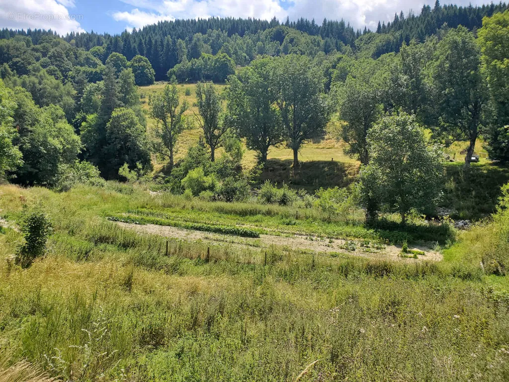Aed - Partially Buildable Land with River View