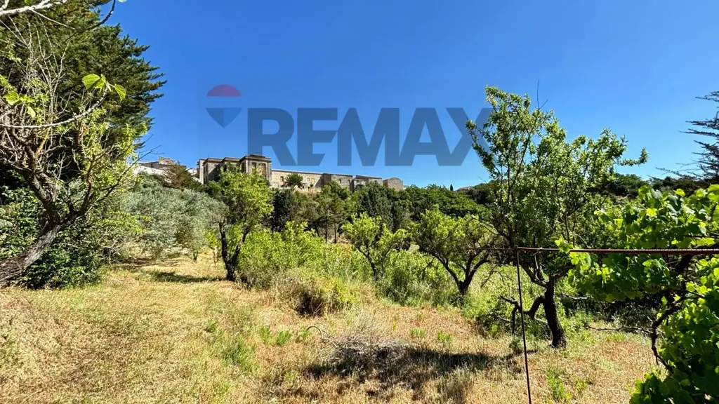 Aed - Villa with Olive Grove in Alimena