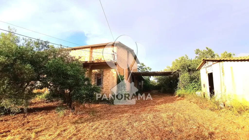 Exterior - Villa with Olive Grove in Partinico