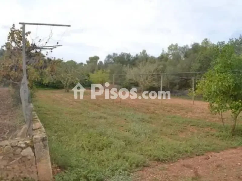 Aed - Rustic Finca with Pool in Algaida