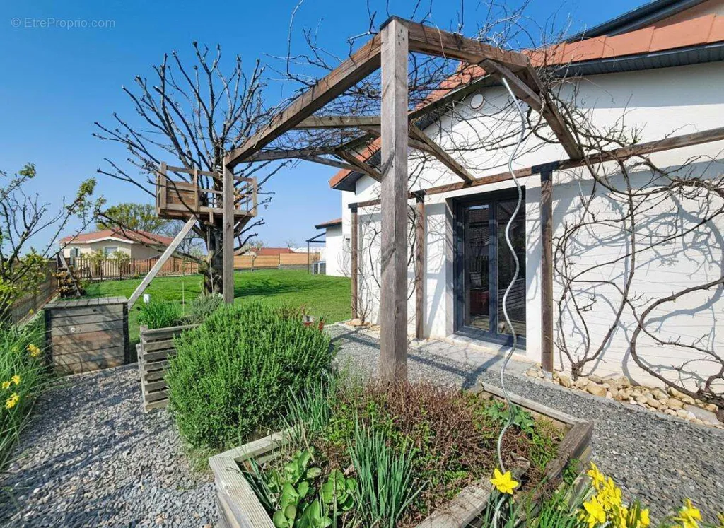 Jardin - Maison contemporaine avec piscine à Mions